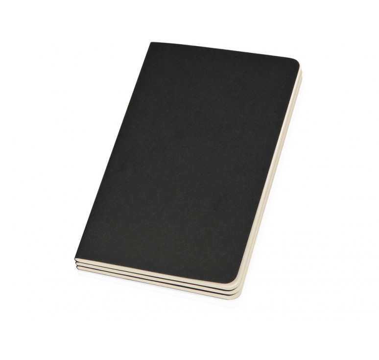 Записная книжка Moleskine Cahier (нелинованный, 3 шт.), Large (13х21см), черный