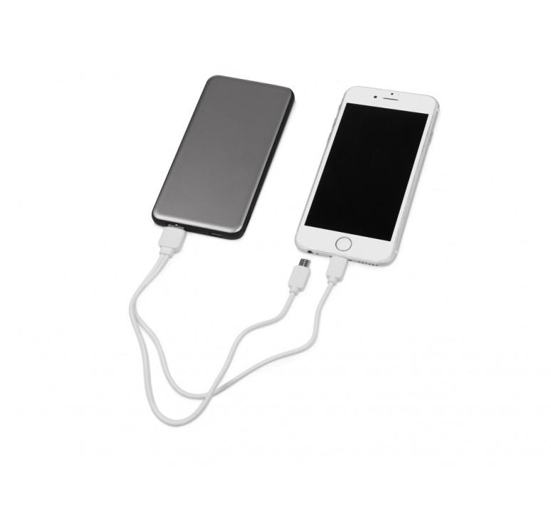 Портативное зарядное устройство Shell Pro, 10000 mAh, серебристый/черный