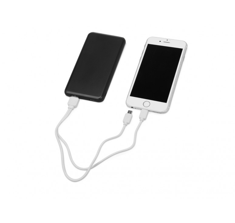 Портативное зарядное устройство Shell Pro, 10000 mAh, черный