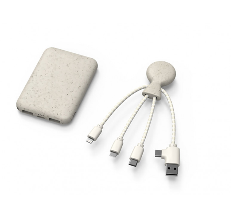 Портативное зарядное устройство BioPack c кабелем Mr. Bio, 5000 mAh, белый