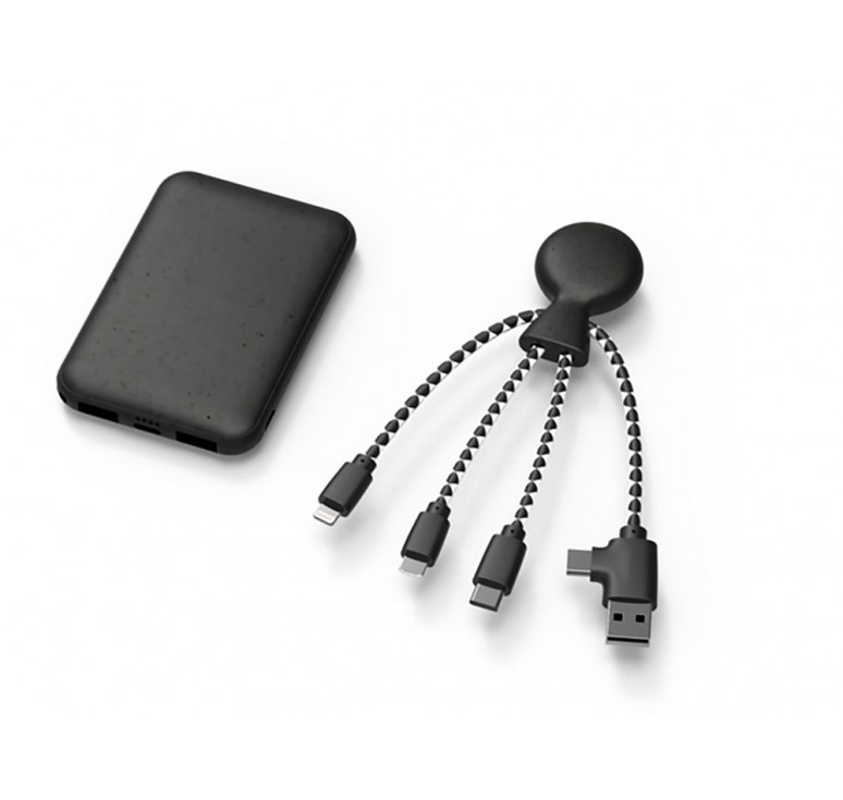 Портативное зарядное устройство BioPack c кабелем Mr. Bio, 5000 mAh, черный