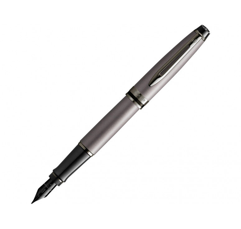 Перьевая ручка Waterman Expert Silver F BLK в подарочной упаковке