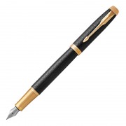 Ручка перьевая Parker IM Premium Black GT
