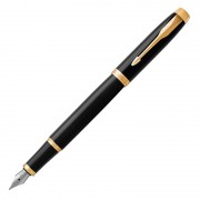 Ручка перьевая Parker IM Black GT
