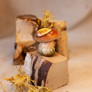 Гриб Белый